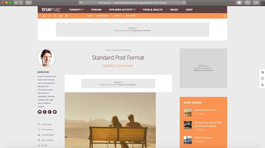 TrueMag WordPress Theme Example Image for Ads
