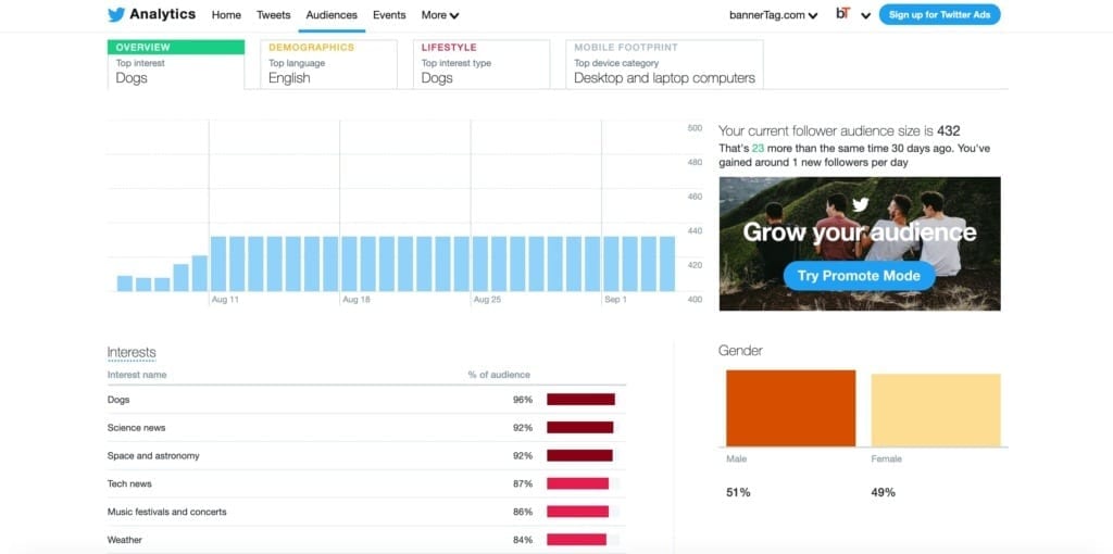 Audience insights analysis for bannerTag.com