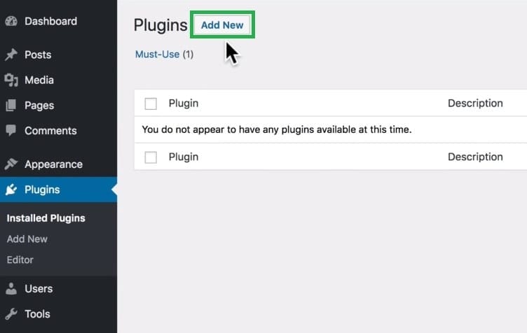 WordPress Website Add New Plugin