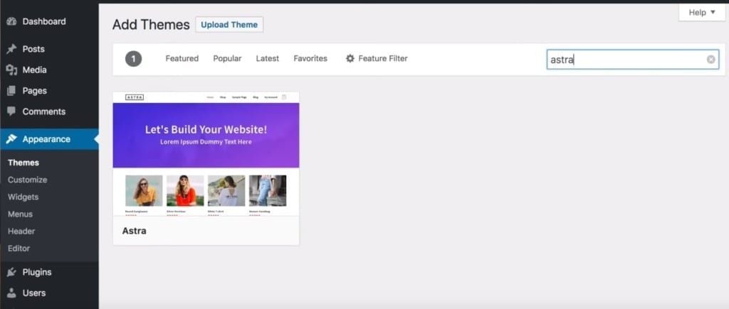 WordPress Website Search Astra Theme