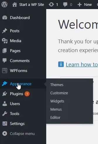 WordPress Appearance