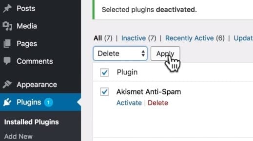 WordPress Website Delete Plugins