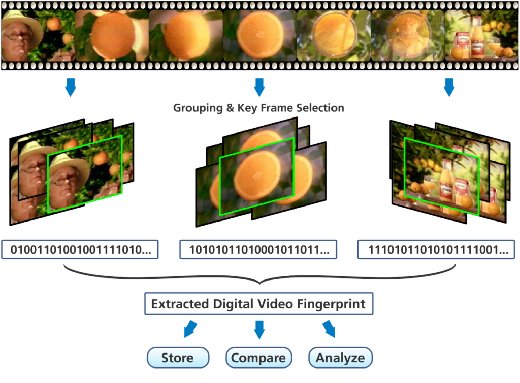 Automatic Content Recognition (ACR) Fingerprint Example 1