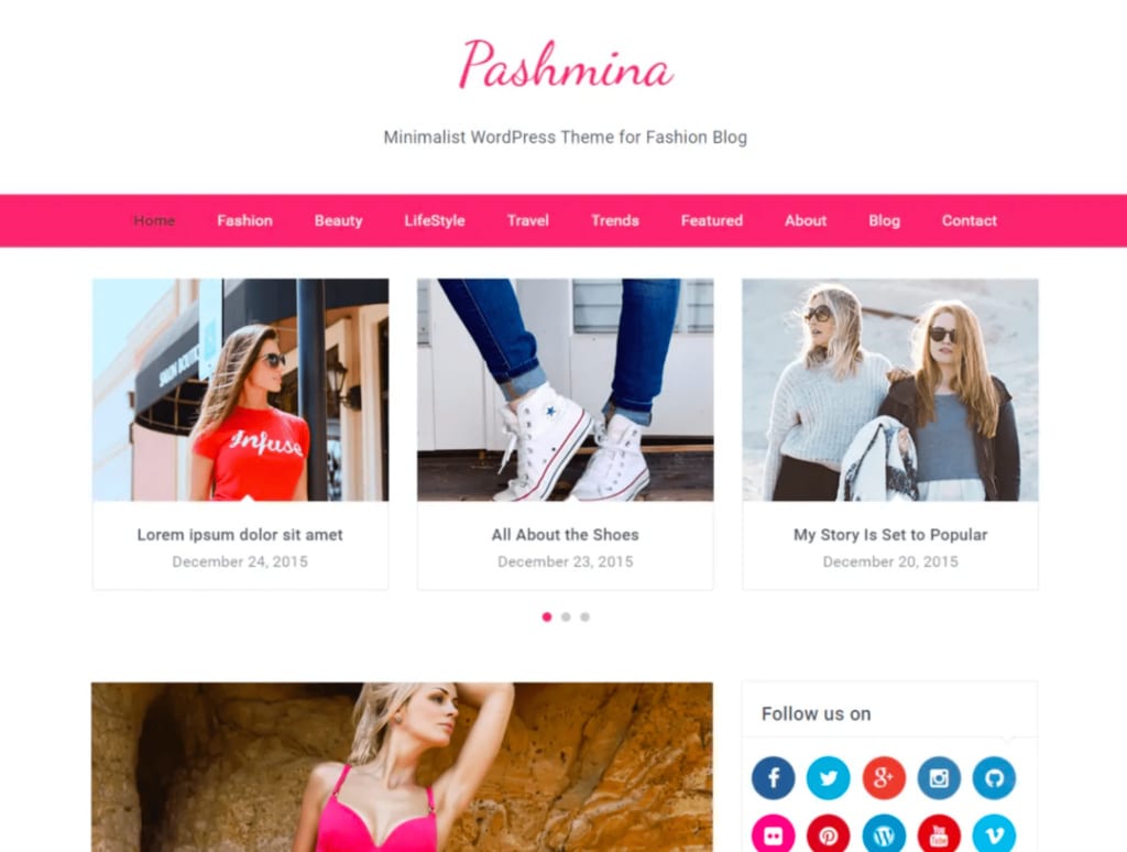 Pashmina WordPress Theme Mommy Blogger